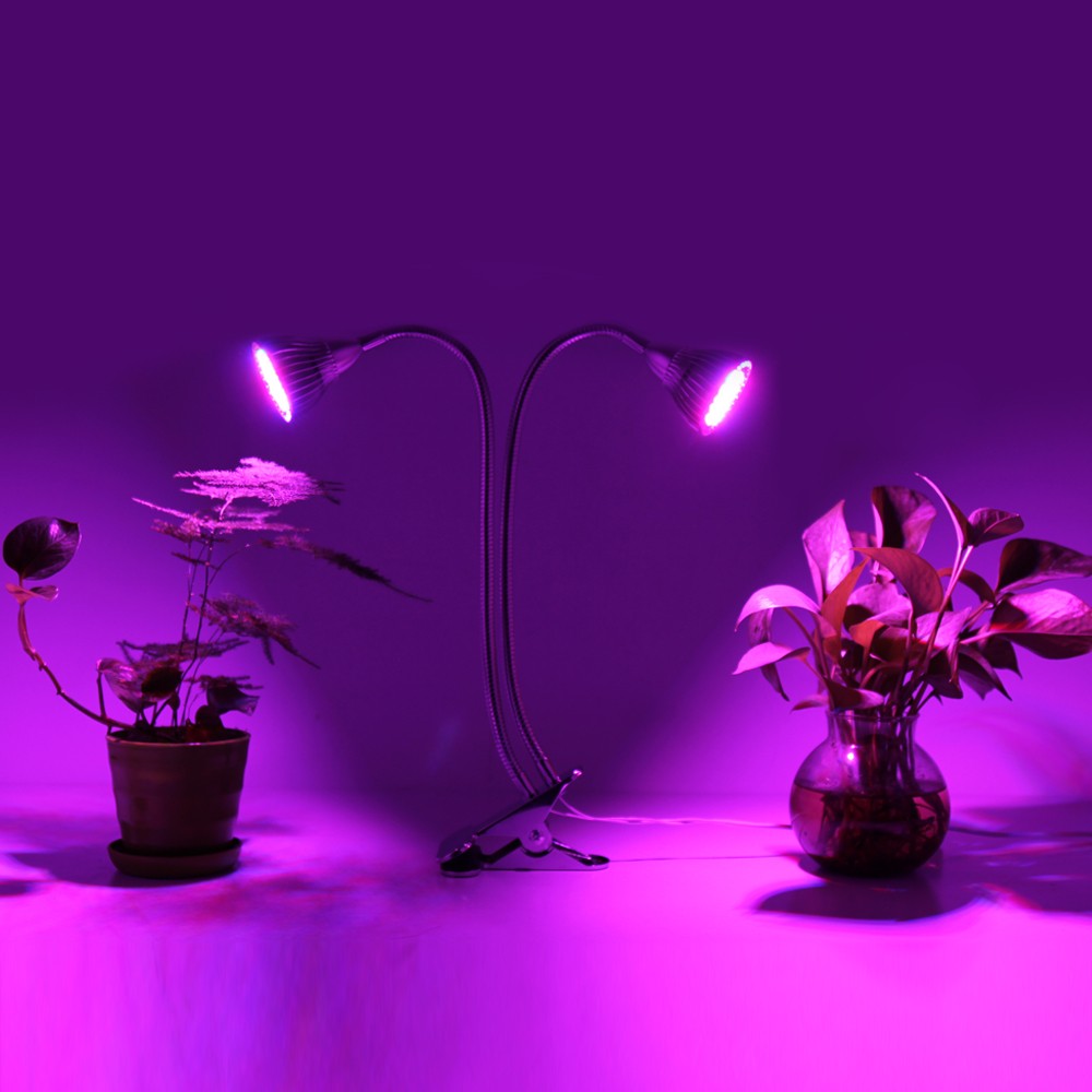 JDM 10W Dual Head LED Grow Light Plant Grow Light with 360 ...